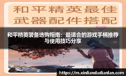 和平精英装备选购指南：最适合的游戏手柄推荐与使用技巧分享